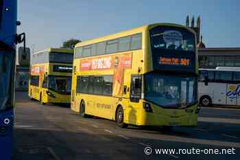 The hard work is only just starting for Manchesters Bee Network
