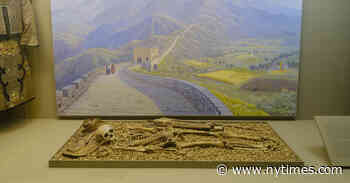 Facing Scrutiny, a Museum That Holds 12,000 Human Remains Changes Course