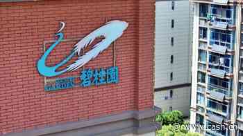 Die Probleme des chinesischen Immobilienkonzerns Country Garden