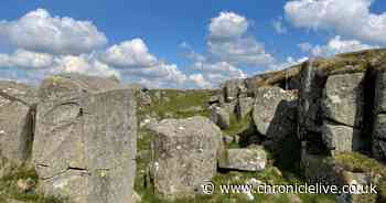 Northumberland first to have its own County Rock and County Fossil after public vote
