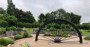 Winners of Northumbria in Bloom 2023 as Cramlington takes overall title