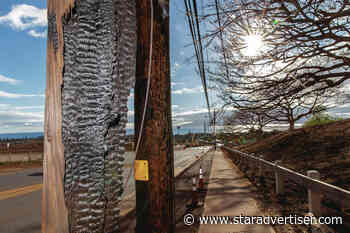 Hawaiian Electric’s wildfire mitigation plan under scrutiny