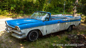 The best rust removers of 2023