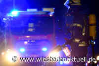 Holzgartenhaus von Restaurant in Flammen