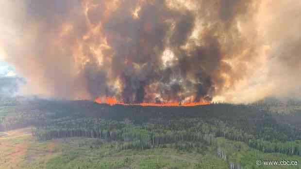 Climate change could mean Alberta cuts more fire-killed trees for timber