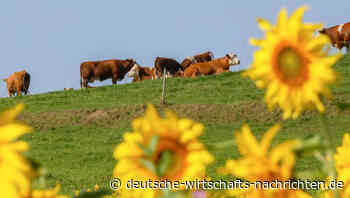 Emissionshandel bedroht die Landwirtschaft der EU