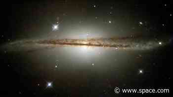 The Milky Way is warped, and it might be the work of dark matter