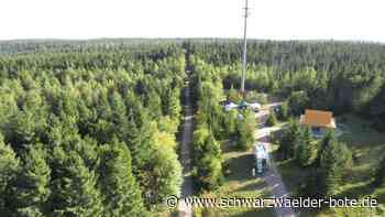 Kaltenbronn wird revitalisiert: Herkulesaufgabe: Wasser für das Moor