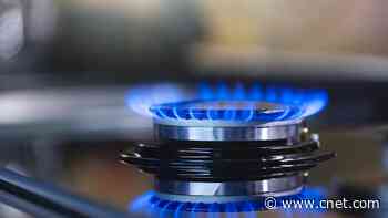 Here's Why You Should Put a Fan in Your Kitchen for Fall and Winter     - CNET