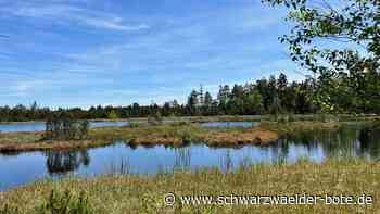 „Deutschlands Naturwunder“: Der Wildsee in Kaltenbronn ist im Rennen