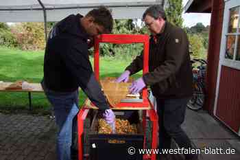 Vlotho: Apfelsaftprojekt stellt Leckereien her