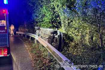 Am Weiner Knickberg über Leitplanke geflogen