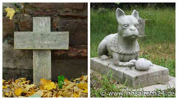 Letzte Ruhestätte: Darf ich mein Haustier im Garten begraben?