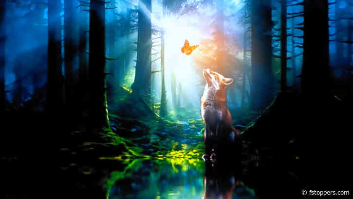 Understanding Adobe's Vision for Generative AI