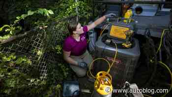 Refrigeration chemicals are a nightmare for the climate. Experts say alternatives must spread fast