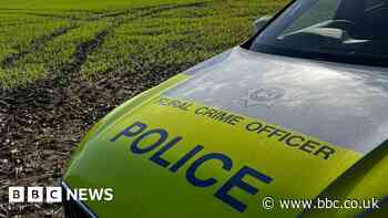 Dogs seized as part of hare coursing investigation