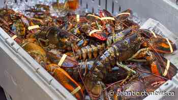 More than 50 Indigenous fish harvesters in the Maritimes charged or on trial: Ottawa