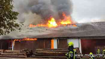 Getreidehalle brennt nieder