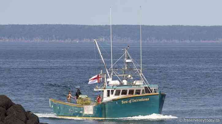 More than 50 Indigenous fish harvesters in the Maritimes charged or on trial: Ottawa