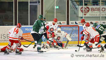 Gladiators zähmen die Mighty Dogs