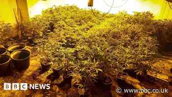 Man charged over Doncaster £500k cannabis farm discovery