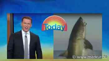 „Gehe nie wieder ins Meer“: TV-Moderator bleibt bei Hai-Aufnahme der Mund offen stehen 