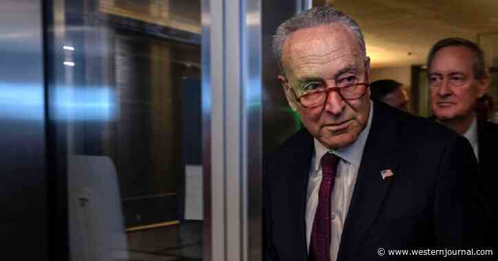 Schumer's Words Come Back to Haunt Him as Dozens Arrested Outside His Home