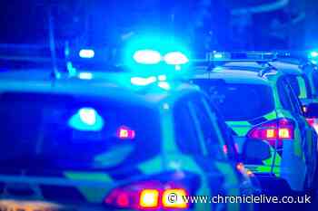 Newcastle road closed following one-vehicle collision