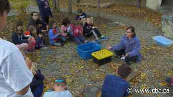 Mudballs, worms and compost. This school’s gardening program is getting kids’ hands dirty