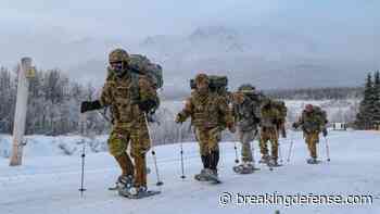 Starlink, skis and frozen batteries: Army seeks ‘bespoke’ kit for Arctic warfare