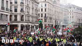 Man charged over racist comments at pro-Palestine rally