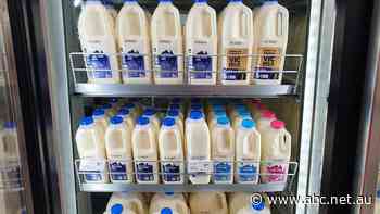 Thousands of dairy workers are preparing to strike. Will there be milk in the stores?