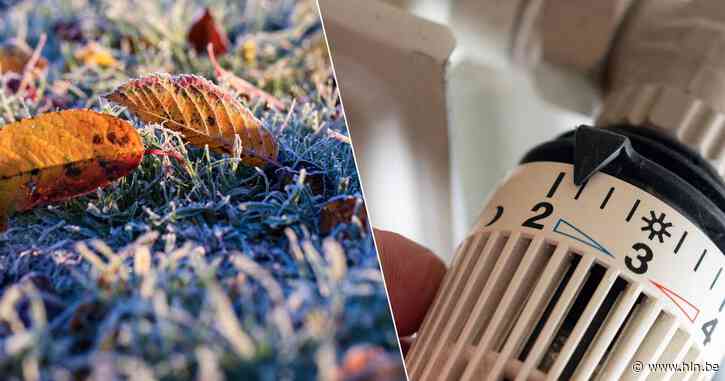 Plots tien graden kouder: doet dat straks ook de gasprijs stijgen? Er zijn redenen om optimistisch te zijn