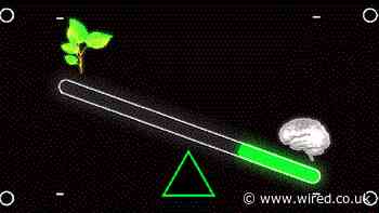 A 'Green' Search Engine Sees Danger—and Opportunity—in the Generative AI Revolution