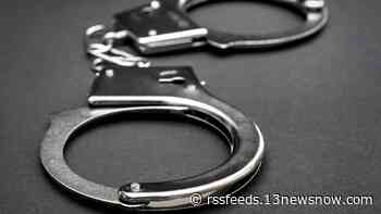 Duo sentenced for 20 armed robbery cases across Hampton Roads