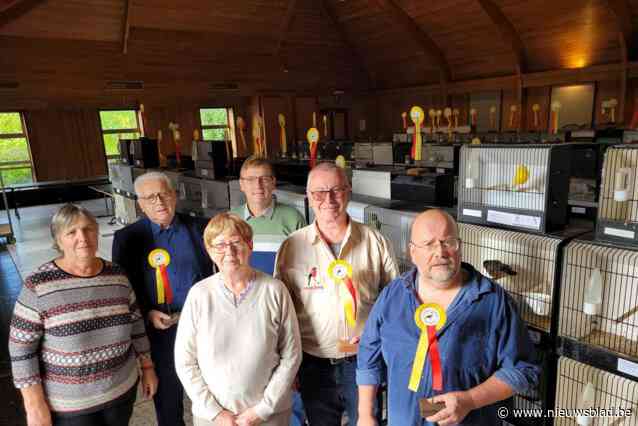 710 vogels dingen naar prijs op grote vogelshow: “Alleen de beste kunnen winnen”