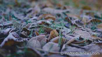 First 'hard freeze' of the season possible tonight - what does that mean?