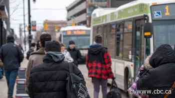 Thunder Bay city council to get update on transit safety