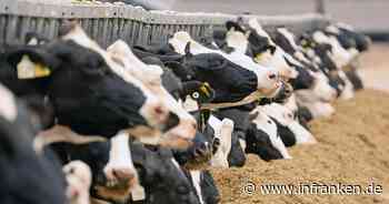 Erzeugerpreise für landwirtschaftliche Produkte sinken