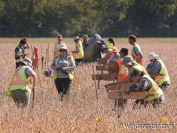 Reader letter: More 'easily reachable' effective health services needed