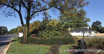 Mount Prospect plans sustainable garden near downtown