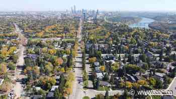 Will Edmonton's zoning changes improve housing affordability? The experts are split