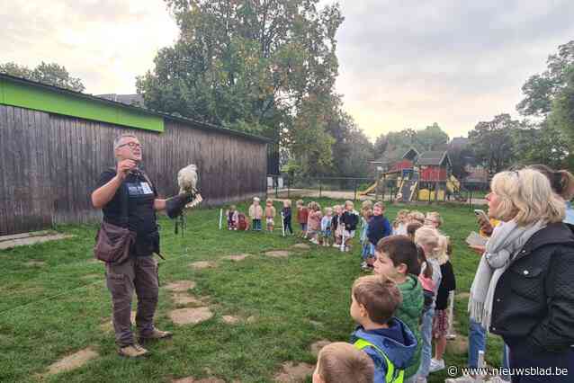 Roofvogels en valkenier op bezoek bij De Vlinderboom