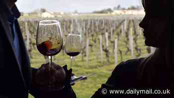 Sweeter wine, bland beer and extortionate whiskey: How climate change will change alcohol for better AND worse