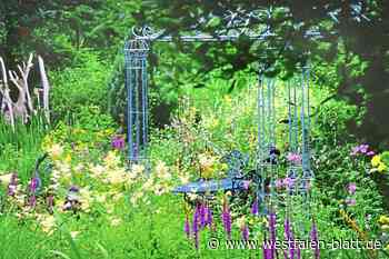 Grüne wollen Förderprogramm für naturnahe Flächen