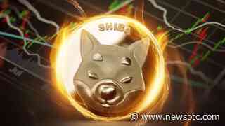 Shiba Inu Starts Off Strong With An Explosive 233% In SHIB Burn Rate