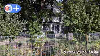 USA: Junge (6) mit palästinensischen Wurzeln mit Messer ermordet