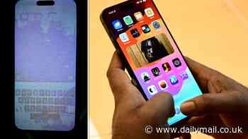 iPhone 15 Pro Max users are reporting 'screen burn' issues that leave a ghostly image on the display - adding to a growing list of problems for Apple