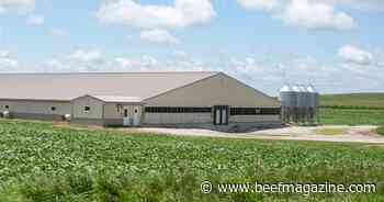 USDA lowers 2023 production forecast for red meat and poultry