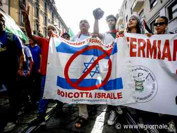 "L'esercito sionista...". L'ex brigatista filo palestinese attacca ancora Israele